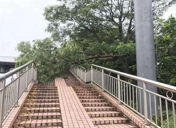 &ldquo;天鴿&rdquo;登陸了又怎樣，智彤印刷正常發(fā)放福利！